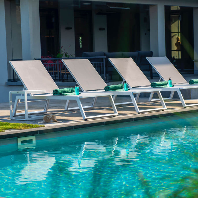 Yoi Salinas ligbed salix